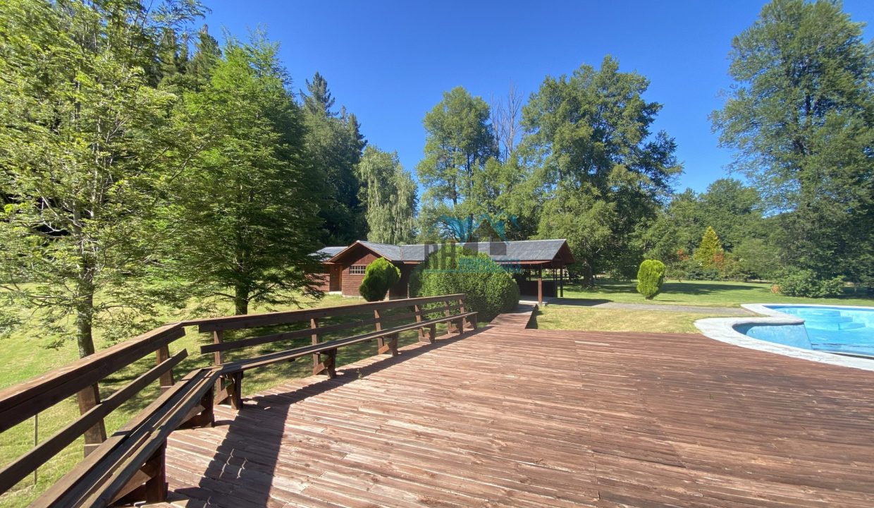 image_50445313 (2)