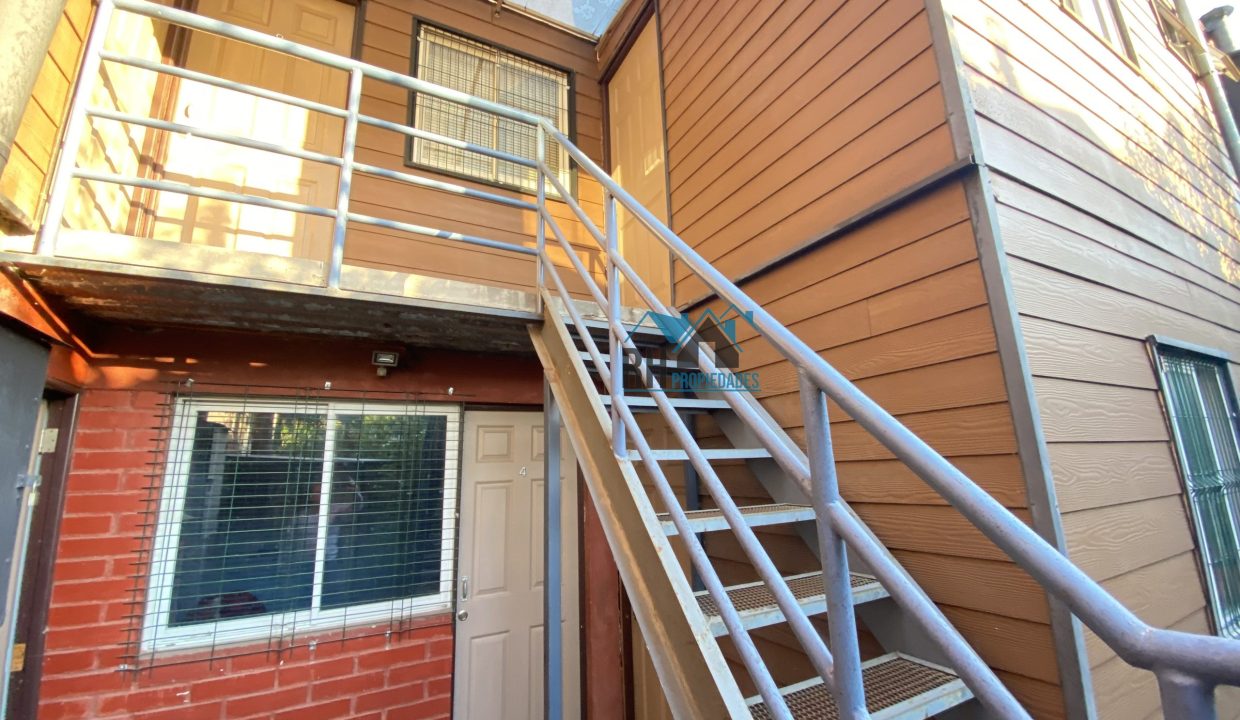 image_50455297