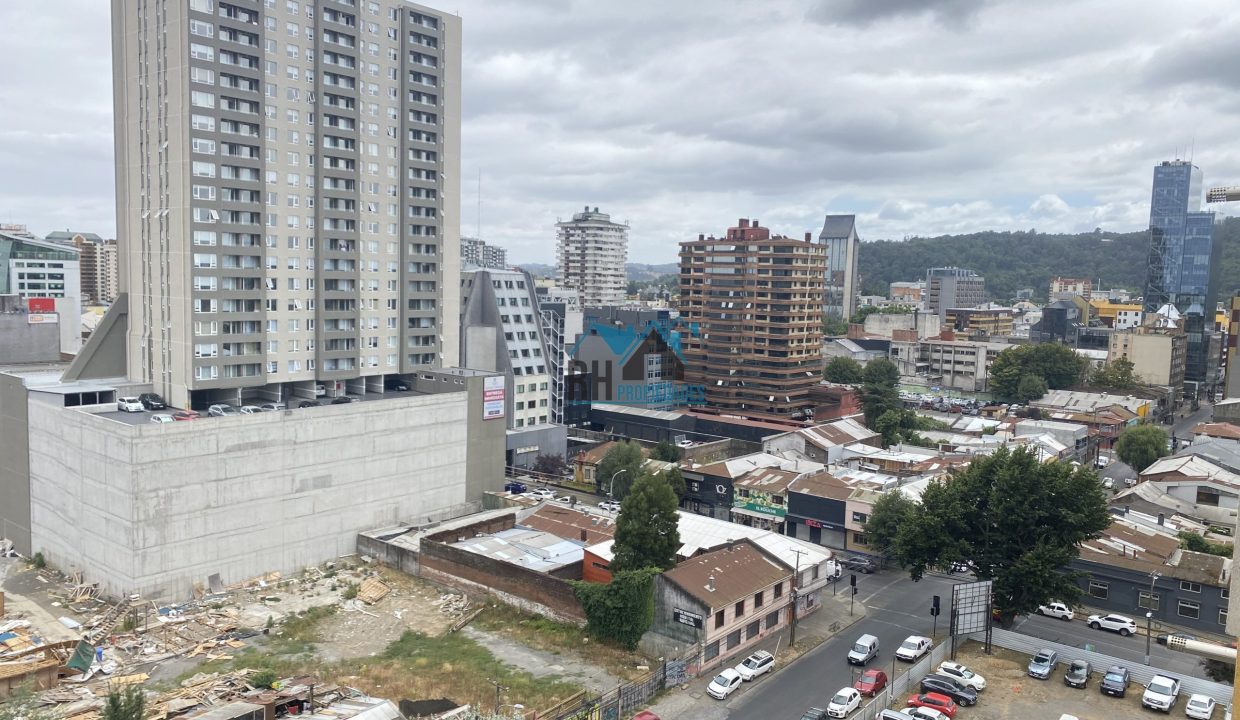 image_50739201