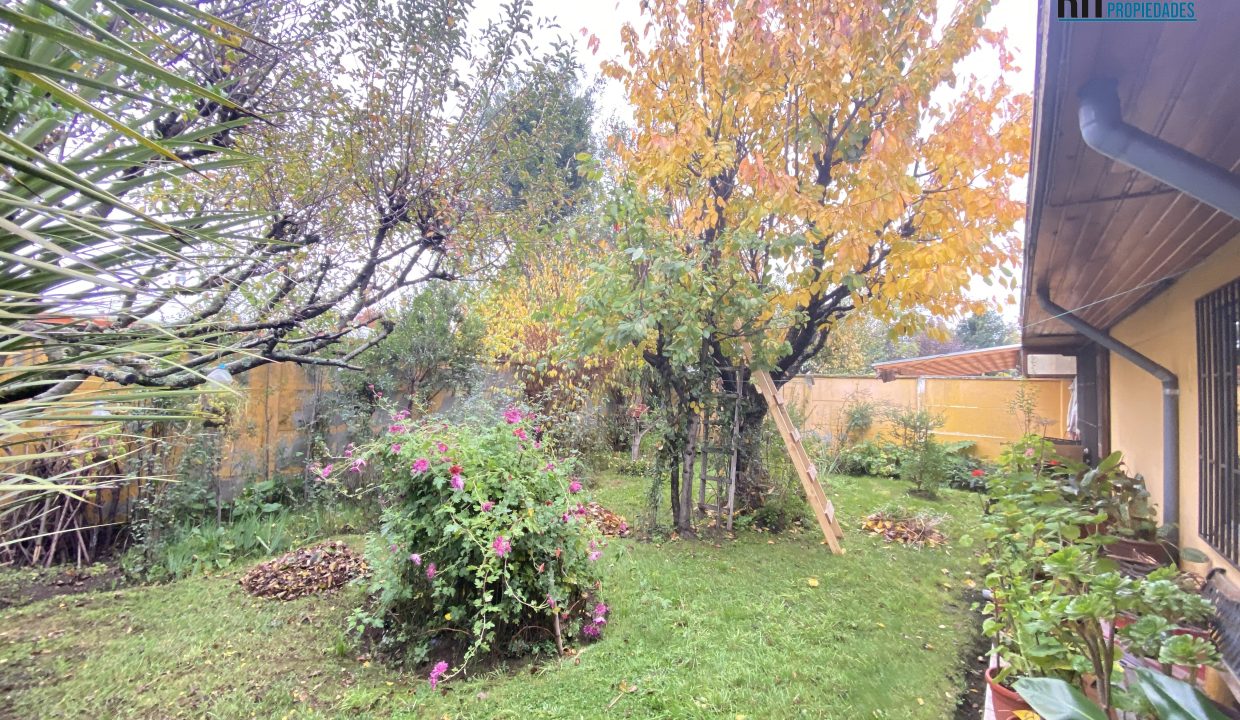image_50462209 (4)